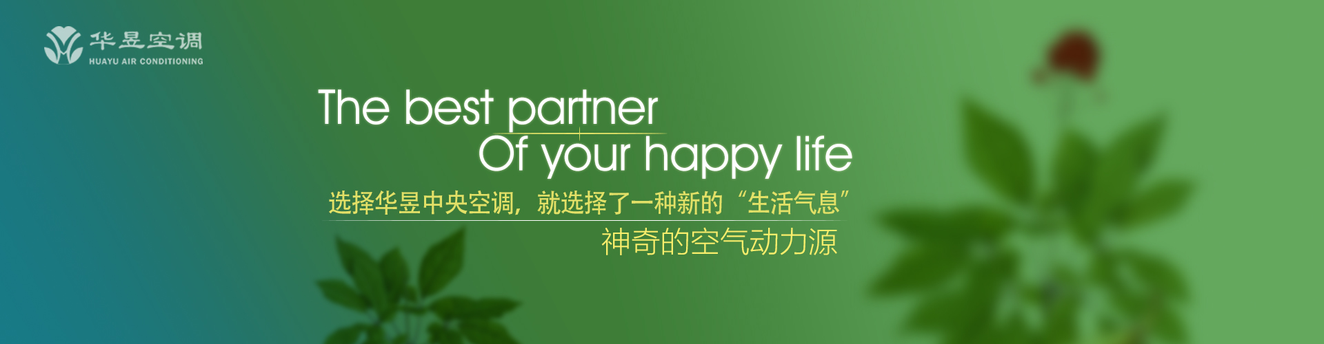 浑身是胆网